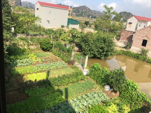 HangmuaSunrise Homestay - 전망