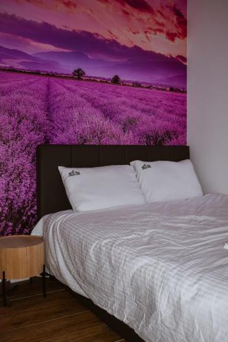One-Bedroom Apartment image 2