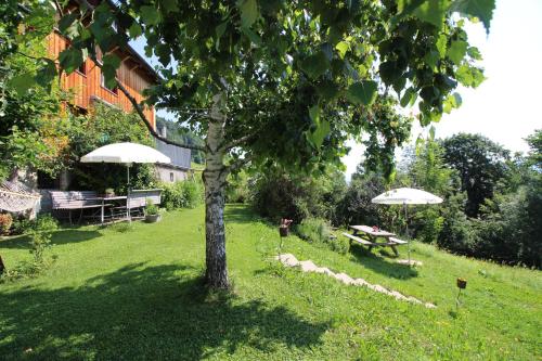 Зручності, WALDERHAUS Apartments in Шварценберг