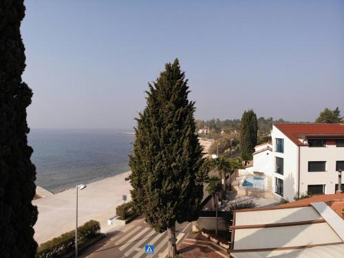 Apartments Sain with garden terrace near the beach