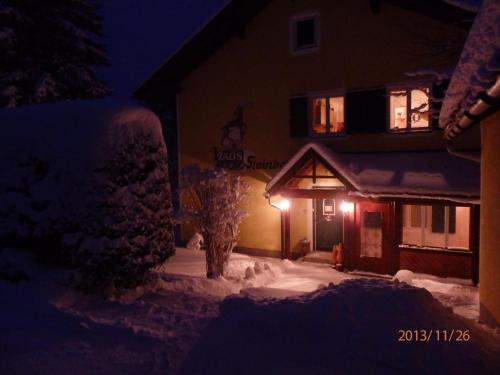 Apartments Haus Steinbock - main image