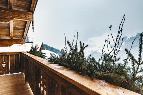 Lindlinghof 2