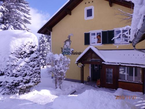 Apartments Haus Steinbock - Tauplitz