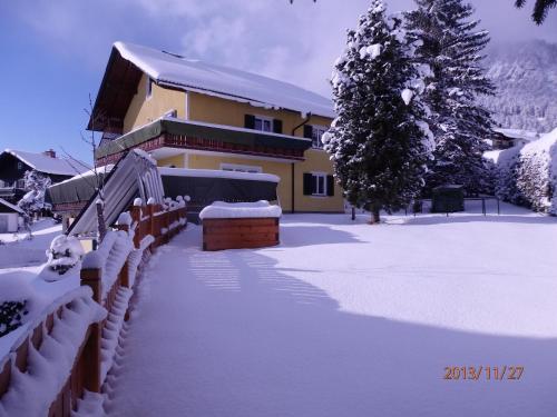 Apartments Haus Steinbock