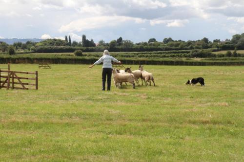 Church Farm - image 7