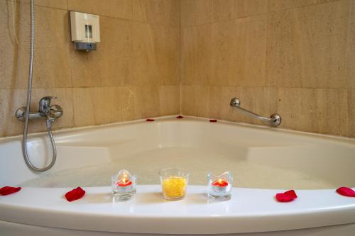 Hotel de Ilhavo Plaza & Spa - image 12