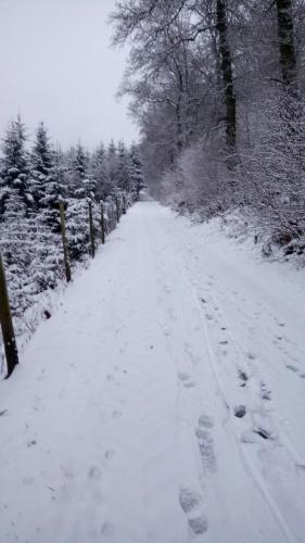 Sport en activiteiten, Ferienwohnung Müller (Ferienwohnung Muller) in Bestwig