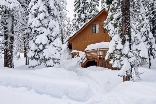 Bear Valley Cabin - Ski to XC Trails! - image 2