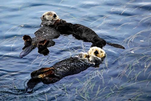 Arroyo Grande Home 3 Mi to Golf Course and Wineries! - image 4