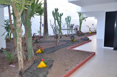 Alsol Guatiza - image 3