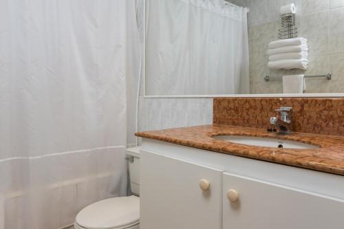 Large Apartment  image 10
