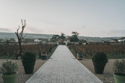 Chateau de Chassagne-Montrachet - image 14