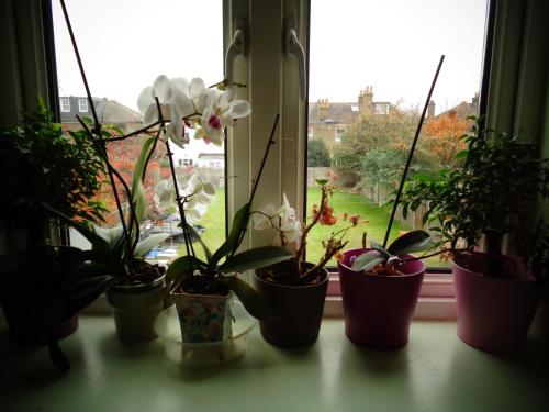 Aron Guesthouse - image 7