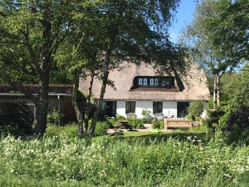 MeinNest31 MeinNest31