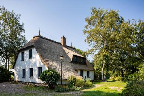 MeinNest31 MeinNest31