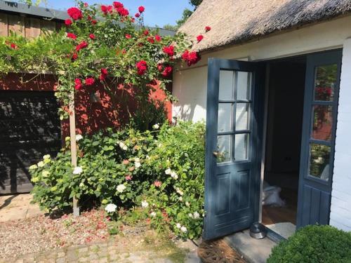 MeinNest31 MeinNest31