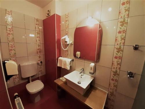 Hotel Vodisek - image 5