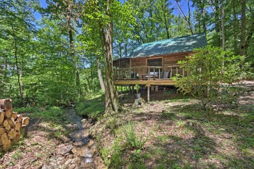 Creekside Cabin with Deck in Pisgah Forest! - image 8