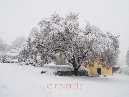 Accommodation in Monteroni dʼArbia