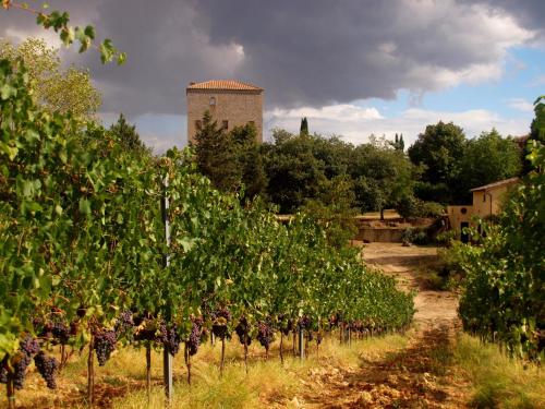 Agriturismo La Roverella