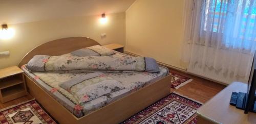 Pensiunea Casa Șteț Toader Iulian (Pensiunea Casa Stet Toader Iulian) in Sapanta