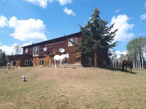 Wettstone Guest Ranch in Bridge Lake (BC)