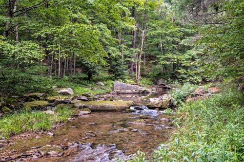 Emporium Colonial Home with Large Yard and Fire Pit! - main image