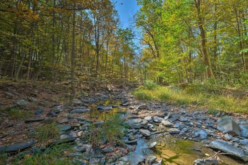 Catskill Mtn Home with Deck about 1 Miles to Zoom Flume!