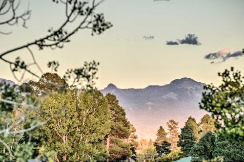 Pagosa Springs Condo 4 miles to Hot Springs! - image 6