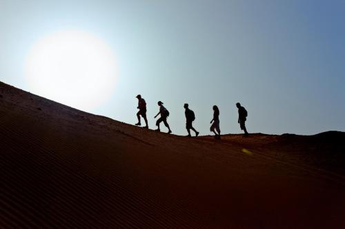Anantara Sir Bani Yas Island Al Sahel Villas - image 9