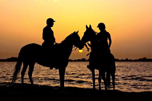 Anantara Sir Bani Yas Island Al Sahel Villas