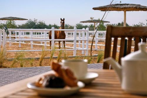 Anantara Sir Bani Yas Island Al Sahel Villas