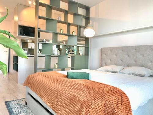 Luxury, bright Studio with parking and balcony in Bratislava center, Bratislava