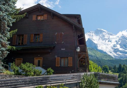 Chalet Sonneck - image 3