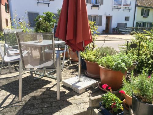 Idyllische Ferienwohnung am See, Pension in Ermatingen bei Steckborn