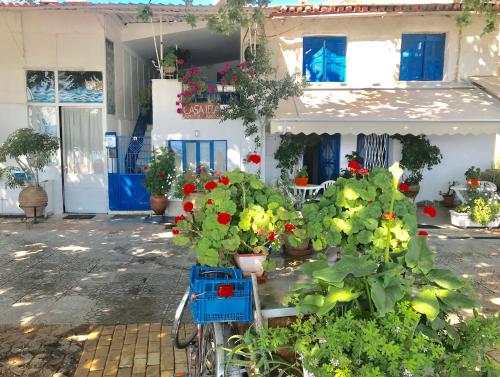 CASA LELA 3...HYDRA, Miloi