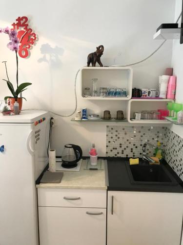 Leptir – Zagreb, NY