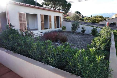 VILLA ANDREA gîte à louer Saleccia