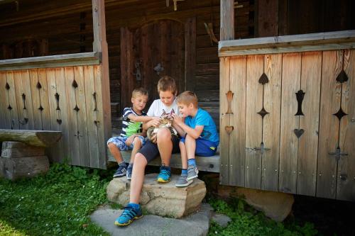 Tourist Farm Visočnik - image 6