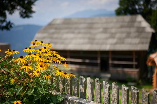 Farmstay&Glamping Visočnik