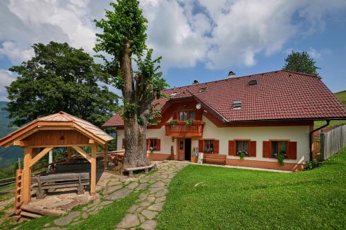 Farmstay&Glamping Visočnik