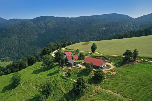 Farmstay&Glamping Visočnik