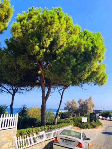 SEA & SKY Bungalows Escape Beach Guest Rooms, Kyrenia (foto 4)