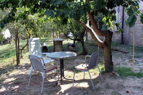 Apartments with WiFi Groznjan Central Istria - Sredisnja Istra - 7038