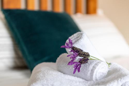 Overton Cottage - Akaroa Holiday Home