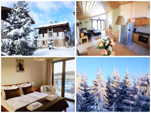 Chalet Mechka Borovets