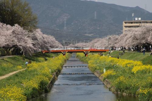 Toyokawa Grand Hotel