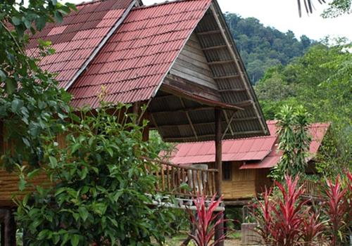 Khao Sok Palmview Resort