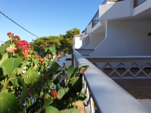 Apartamentos Piscis - image 12
