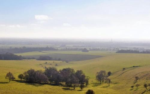 Birch End, Midhurst